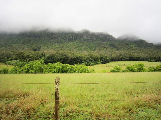 IMG 0444 copy
